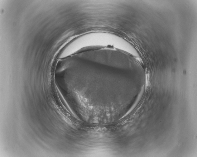 X0000087680243200705251651