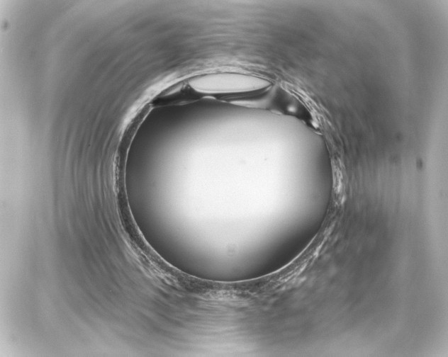 X0000087680244200705251651