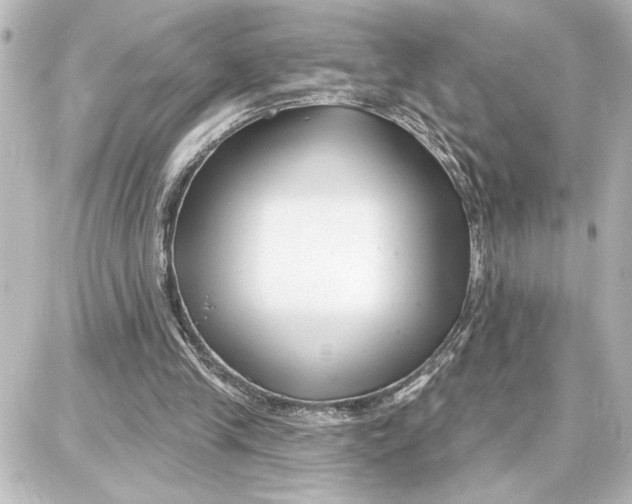 X0000087680245200705251651