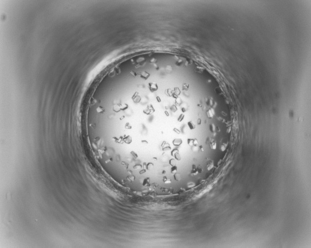 X0000087680246200705251651