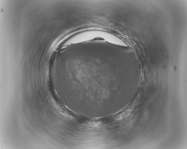 X0000087680247200705251651