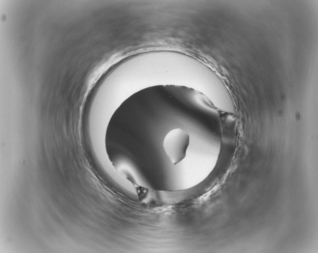 X0000087680248200705251651