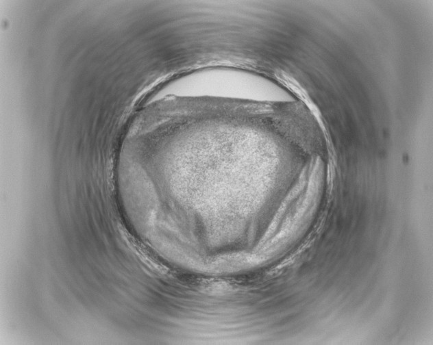 X0000087680249200705251651