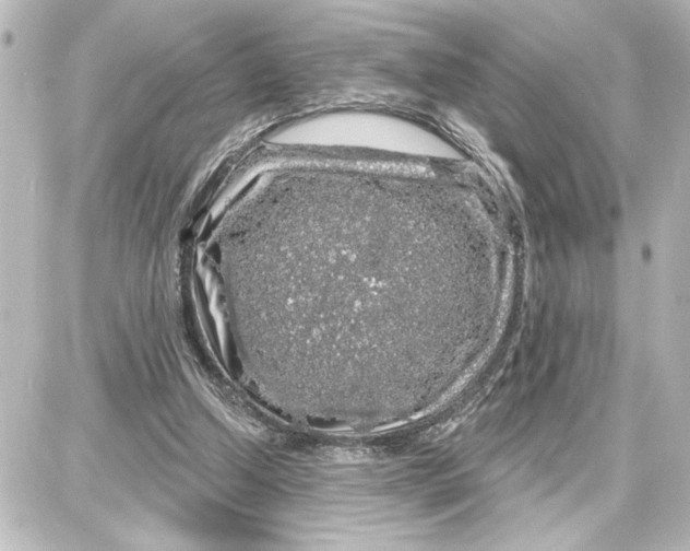 X0000087680250200705251651