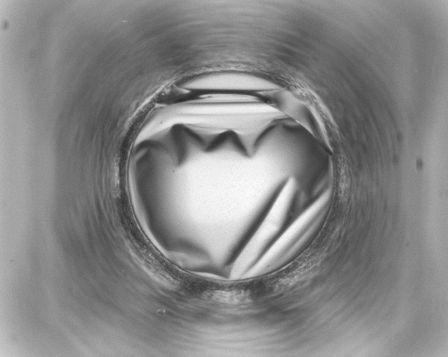 X0000087680251200705251651