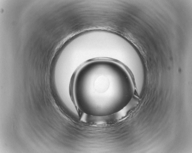 X0000087680252200705251651