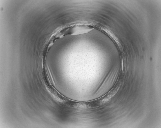 X0000087680253200705251651