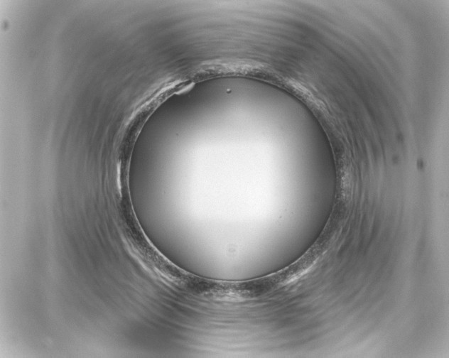 X0000087680254200705251651