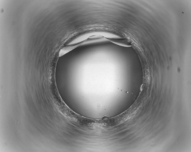 X0000087680255200705251651