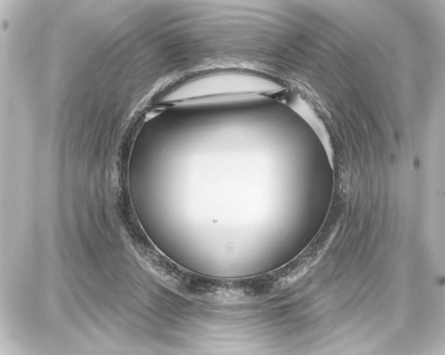 X0000087680256200705251651