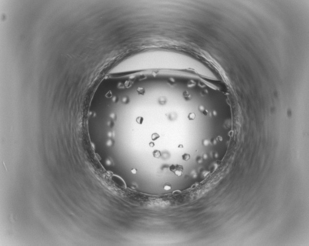 X0000087680257200705251651