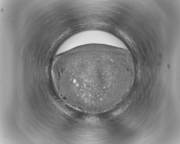 X0000087680258200705251651