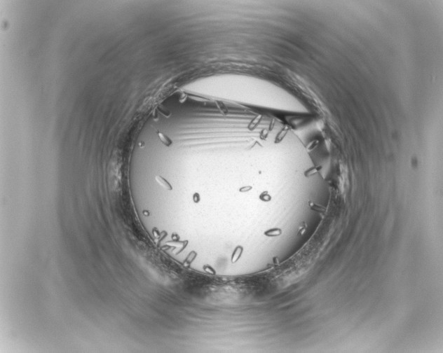 X0000087680259200705251651