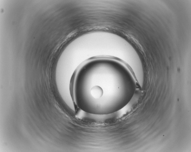 X0000087680260200705251651