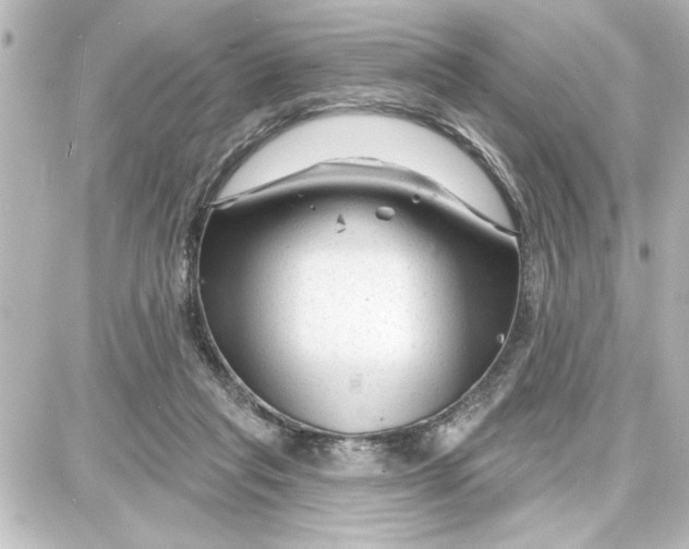 X0000087680261200705251651