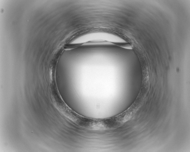 X0000087680262200705251651