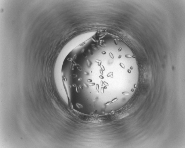 X0000087680263200705251651