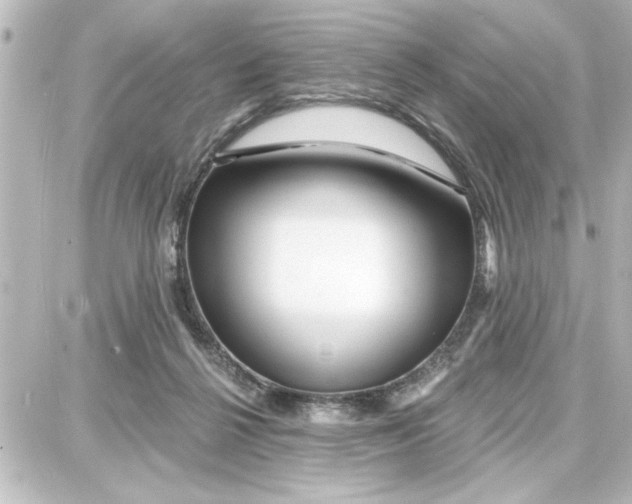 X0000087680264200705251651