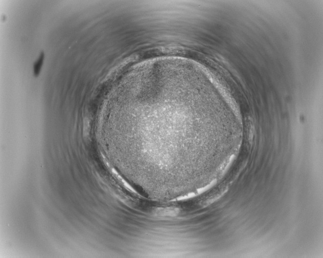 X0000087680266200705251651