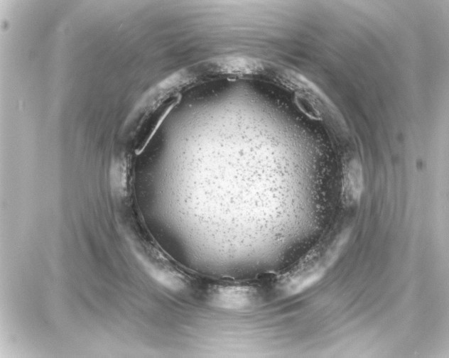 X0000087680268200705251651