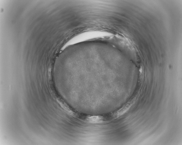 X0000087680269200705251651