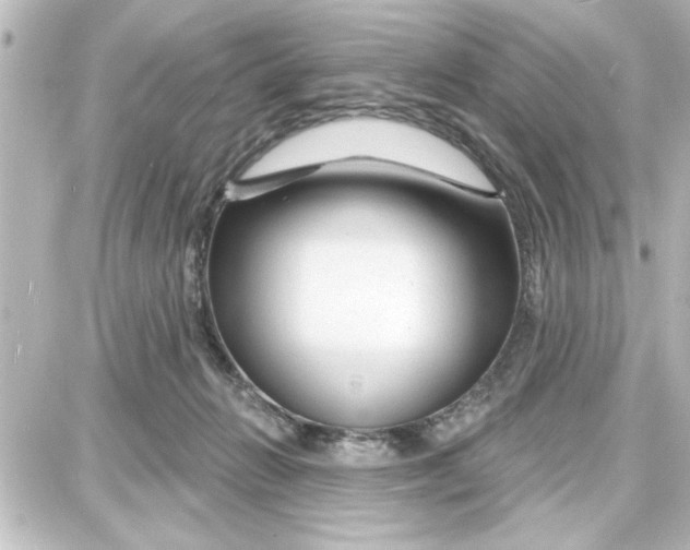 X0000087680270200705251651