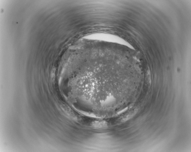 X0000087680271200705251651