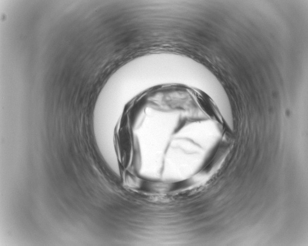 X0000087680272200705251651