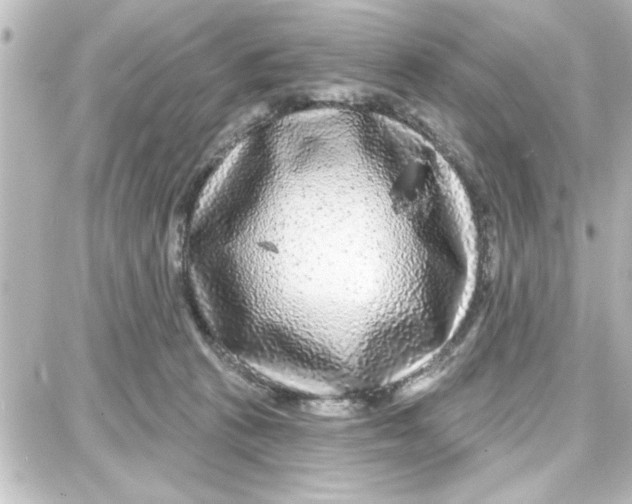 X0000087680273200705251651