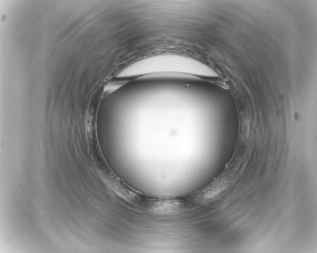 X0000087680274200705251651