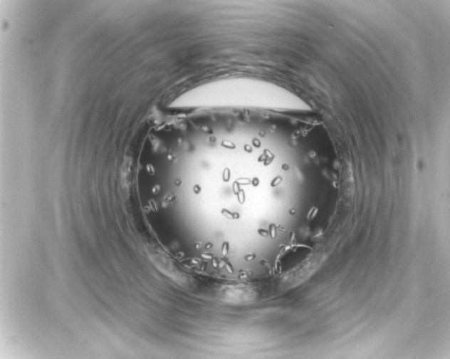 X0000087680275200705251651