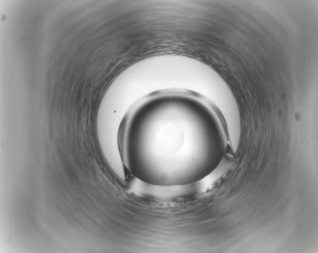 X0000087680276200705251651