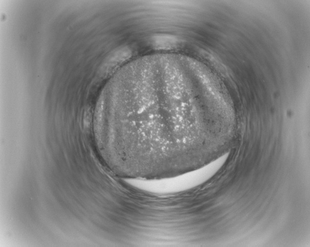 X0000087680277200705251651