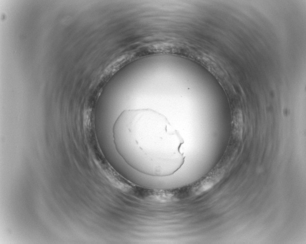 X0000087680278200705251651