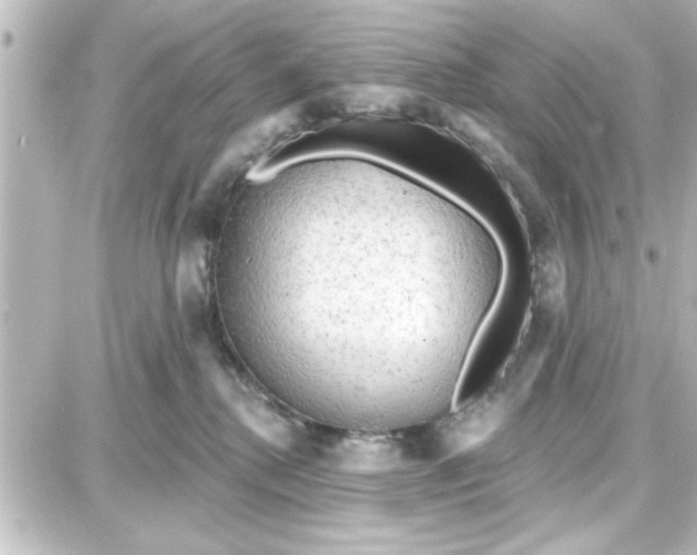 X0000087680280200705251651