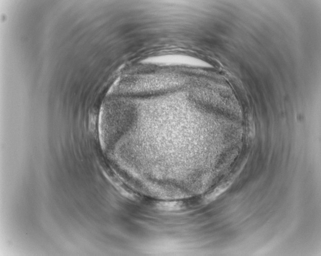 X0000087680281200705251651