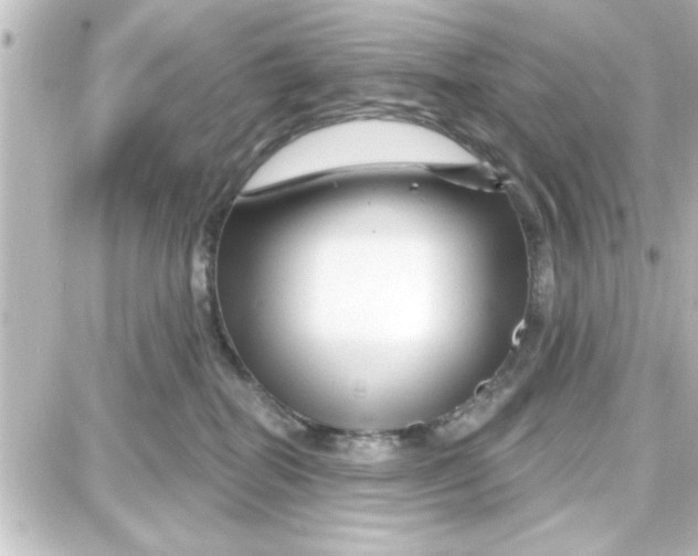 X0000087680282200705251651