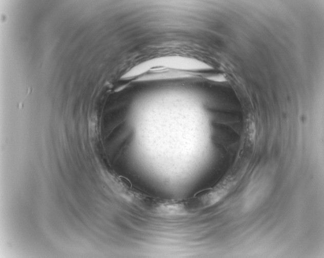 X0000087680283200705251651