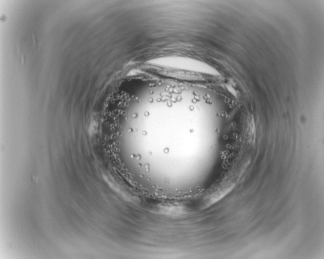 X0000087680284200705251651