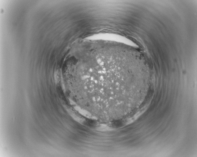 X0000087680285200705251651