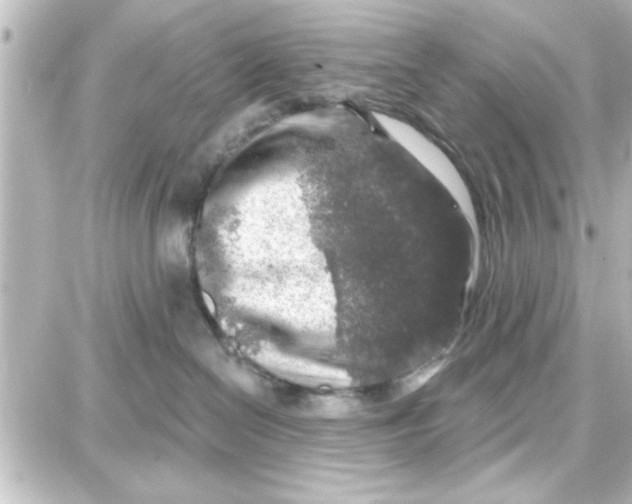 X0000087680286200705251651