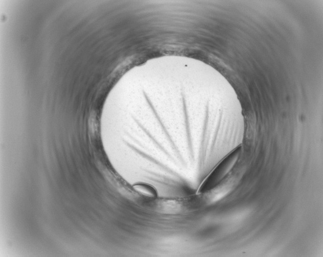 X0000087680287200705251651