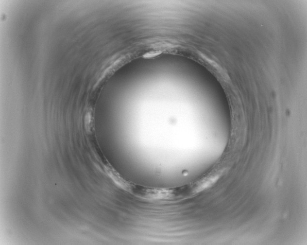 X0000087680288200705251651