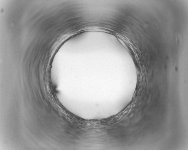 X0000087680289200705251651