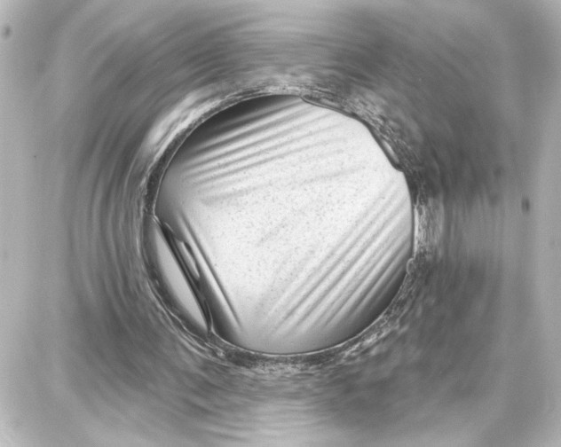 X0000087680291200705251651