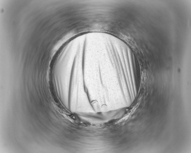 X0000087680292200705251650