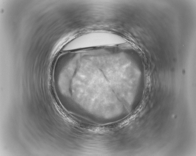 X0000087680293200705251650