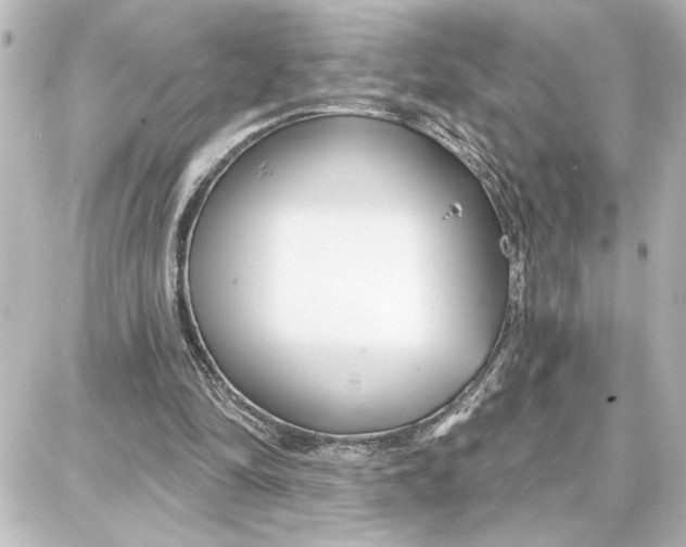 X0000087680294200705251650