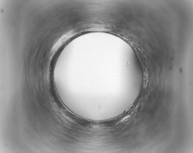 X0000087680296200705251650