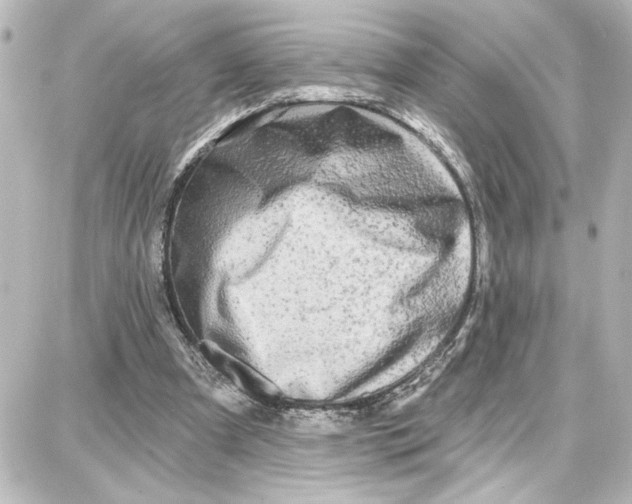 X0000087680297200705251650